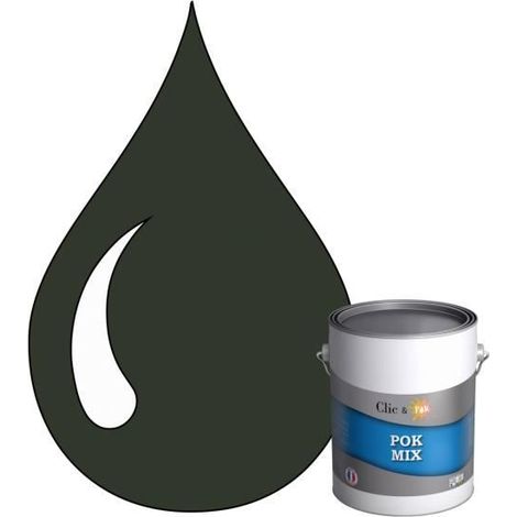 Peinture d'Accroche et Finition 2 en 1 - POK - RAL 6009 - Vert Sapin - Satiné - 1L (1/4)