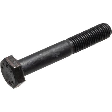 Tornillo GIANNI FERRARI 0092062151 (1/2)