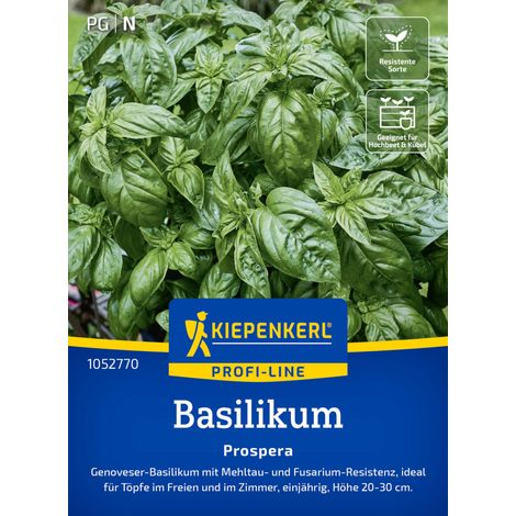 Kiepenkerl Profi-Line Saatgut Basilikum Prospera F1 für ca. 50 Pflanzen