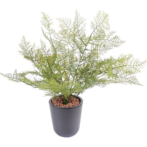 Plante artificielle haute gamme Spécial extérieur / Asparagus artificiel - Hauteur : 50cm -PEGANE-