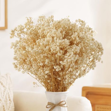 Bouquet De Fleurs Séchées pour Bébé Plus De 6000 Boutons Floraux (1/5)