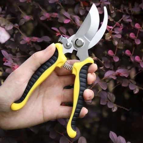 Sécateur en acier inoxydable Cisailles de jardin multifonctionnelles Branche de fleur de verger Cisailles de cueillette de fruits Branche de jardin Cisailles à outils (1/5)