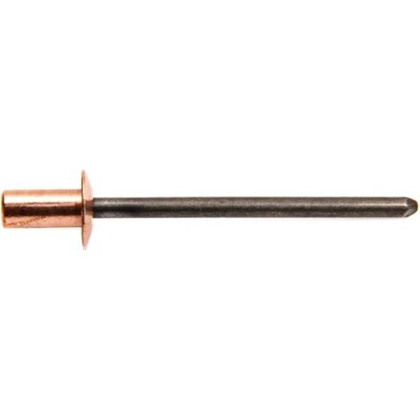 500 Rivets Aveugles Etanches Tête Ronde GOSTOP TRS 4 x 8 mm - Cuivre/Acier - D-Work