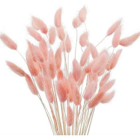 Pampas Grass - Dried Flower Stems - 40 Cm - Pink - Natural Bohemian Home Wedding Decoration - 50 Pieces (1/5)