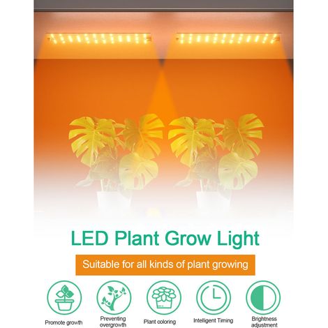 Ortviai Lampe de Croissance LED pour Plantes d'Intérieur – Tableau Quantique 12 V, Spectre Complet, Suspension