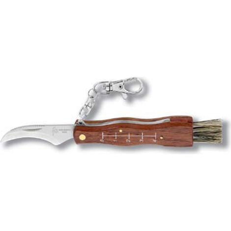 Coltello per raccolta funghi in acciaio inox da 80 mm con moschettone per appenderlo