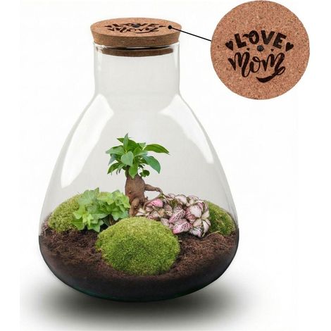 Kit DIY Terrarium avec Bouchon LED Gravé LOVE MOM Écosystème Fermé Ø 24,5 cm - PANGIVO (1/5)
