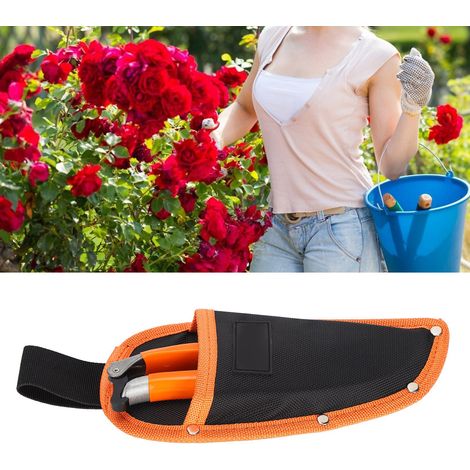 Sécateur pour arbres fruitiers, sécateur, cisaille à fleurs, outils de jardinage, ciseaux à main-d'œuvre (1/5)