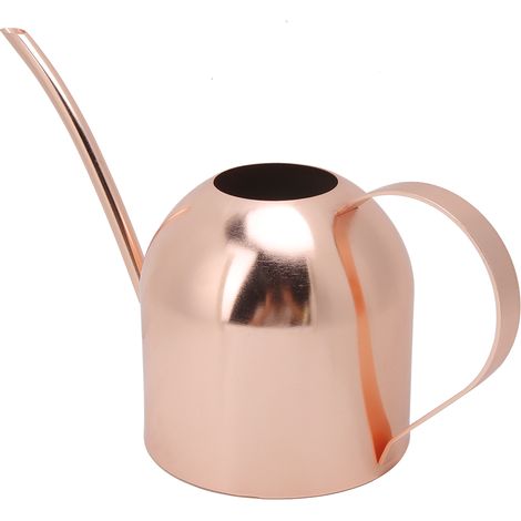 Arrosoir en acier inoxydable de 1000ml, Pot d'arrosage à longue bouche pour fleurs et plantes de jardin, récipient d'eau