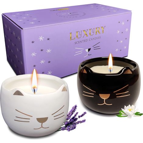 Bougies Décoratives es en Forme de Chat, Coffret de 2 Bougies Parfumées Cadeau pour Decoration Maison o Salon (1/5)