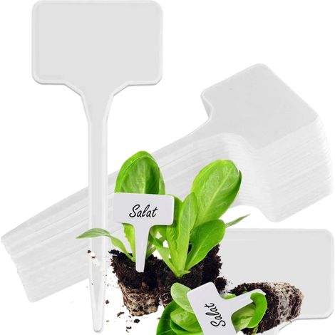 Etichette per piante, semi e piantine, 50 pezzi/set (1/5)