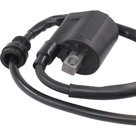 Zündspulen passend für Kawasaki KFX 400, Yamaha YXR660, DRZ400S und DRZ40 (1/4)