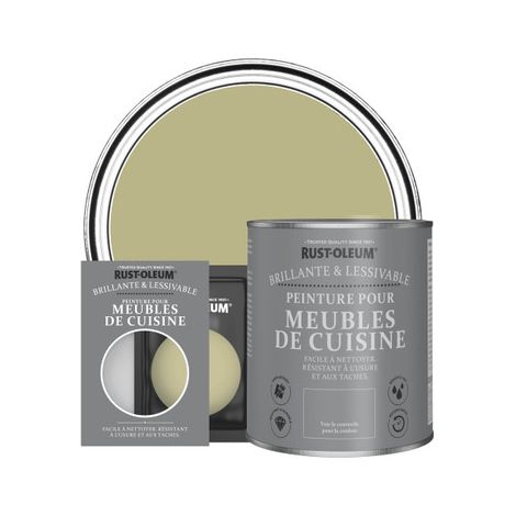 Peinture pour Meubles de Cuisine, Finition Brillante - Vert Sauge (1/3)