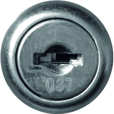 R20902005 Cerradura de repuesto con llave para WINGMAN