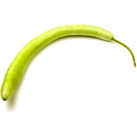 Semi di zucca "Lunga serpente di sicilia" piante per orto e giardino coltivazione domestica e professionale