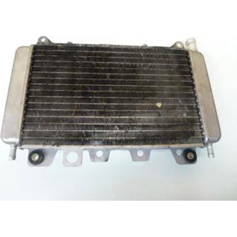 [PRODUIT D'OCCASION] Radiateur de refroidissement origine pour scooter Piaggio 125 X9 (1/2)