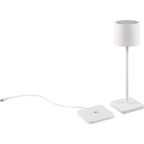 Lampada portatile da esterno Fernandez bianca LED IP54 (1/5)