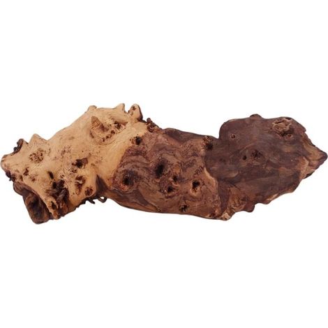 XL Mopani Wurzel Nr.9391 Holz Deko Aquascaping