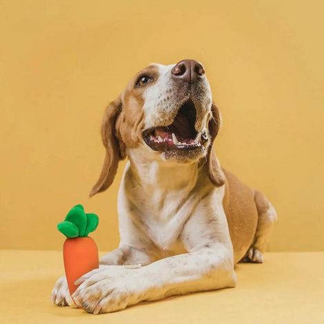 Tapis de friandises pour chien avec carottes en peluche, jouet interactif anti-ennui pour stimulation mentale et recherche alimentaire (1/5)