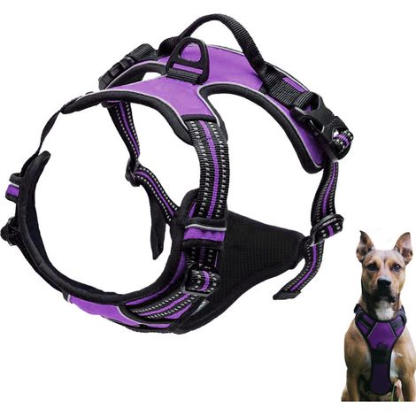 Harnais pour chien , harnais poitrine anti-traction, harnais de sécurité sans traction, harnais pour chiot labrador harnais anti-évasion, Violet, M (1/4)