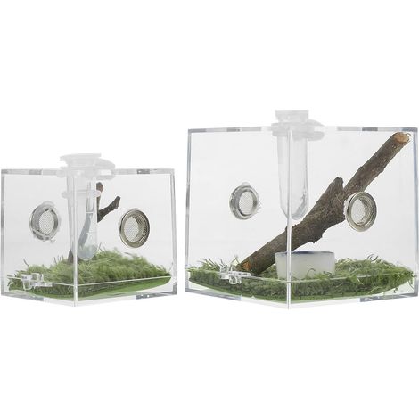 Caja de cría Hábitat cómodo para arañas saltadoras en acrílico liviano 2 piezas para tarántulas y caracoles, para terrario y alimentación de insectos (1/5)