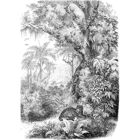papier peint panoramique jungle noir et blanc - ESTAhome (1/5)