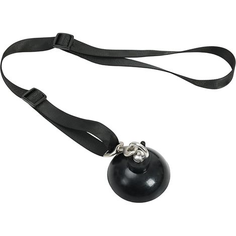 Boucles De Toilettage Pour Toiletteurs De Chiens - Bande Ajustable À Base (1/5)