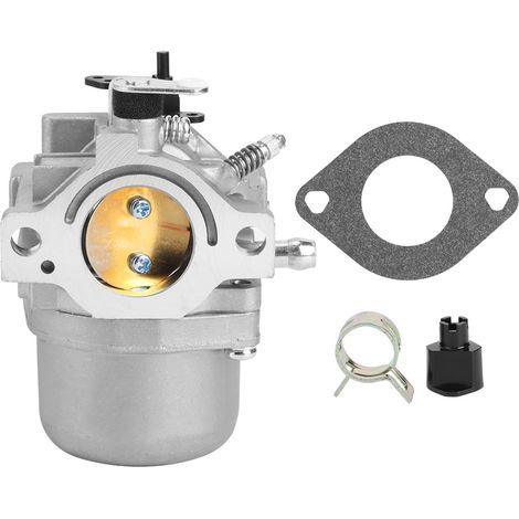 Accessoires de Jardin de Remplacement de carburateur adaptés, carburateur pour Briggs Stratton 799728 498027 12 HP 12.5 HP (1/5)