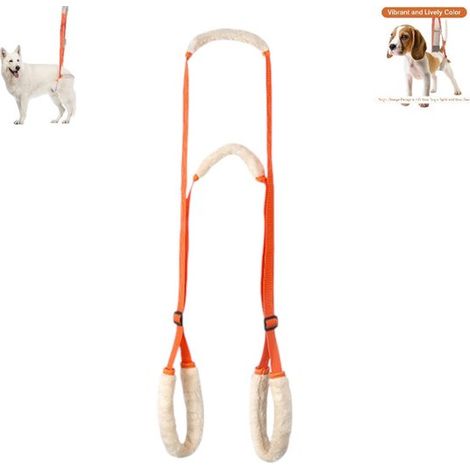 Hinterbeinstütze für Hunde - mit Griff und Schultergurt zum Anheben der Hinterbeine des Hundes - Orange - Hinterbeinstütze für Hunde - eine Stütze für die Hinterbeine.