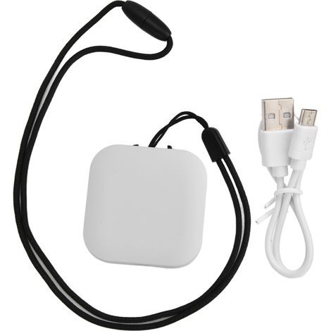 Tragbarer 1000-W-Luftbefeuchter mit Negativ-Ionen, USB-Kabel und zwei Kohlebürsten – Weiß (1/5)
