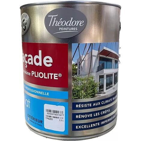 Peinture façade pliolite Théodore Blanc 2,5 L