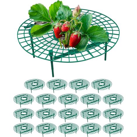 Ausstecher fur erdbeeren 20 stk 883047