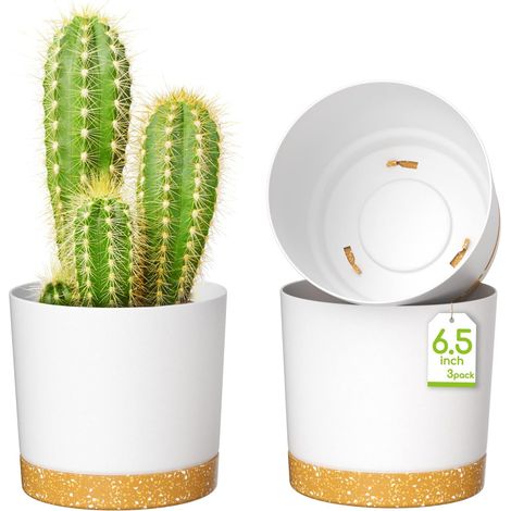 Pots de Fleurs de 16,5cm, Jardinières Modernes avec Trous de Drainage et Soucoupe Détachable, Pots de Fleurs en Plastique pour Plantes d'Intérieur et de Jardin (Blanc, Lot de 3) (1/5)