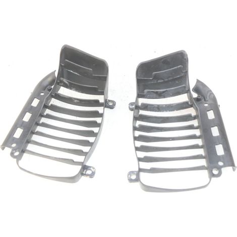 GRILLE RADIATEUR PIAGGIO VESPA GRANTURISMO 125 2003 - 2007 (1/4)