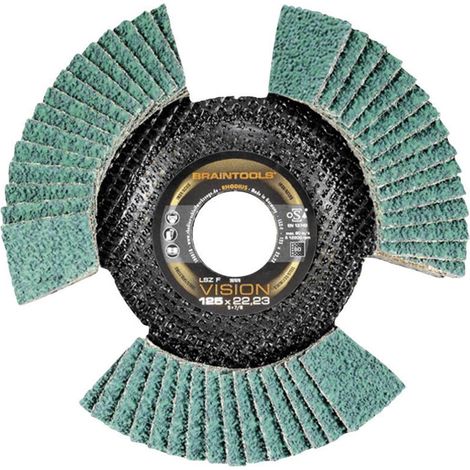 Dischi abrasivi lamellari LSZ F VISION Rhodius 207084 Ø 115 mm diametro interno 22,23 mm grana 60 (1/5)