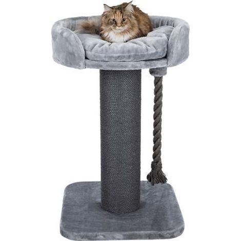 Arbre à chat XXL klara 100 cm, gris (1/5)