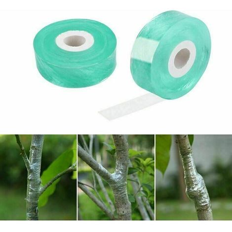 Ruban de greffage, lot de 2 rubans extensibles pour greffe de pied, biodégradables, barrière contre l'humidité, transparent (vert)-Fei Yu (1/5)