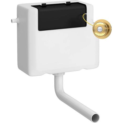Nuie Concealed Cistern and Brushed Brass Traditional Round Dual Flush Buttons - XTY8T03 (1/3)