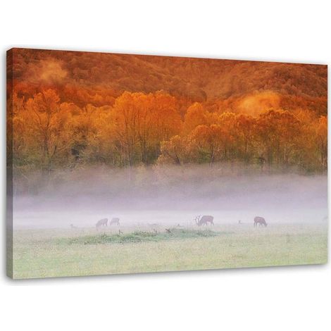 Tableau sur toile Forêt brumeuse 100x70 (1/5)