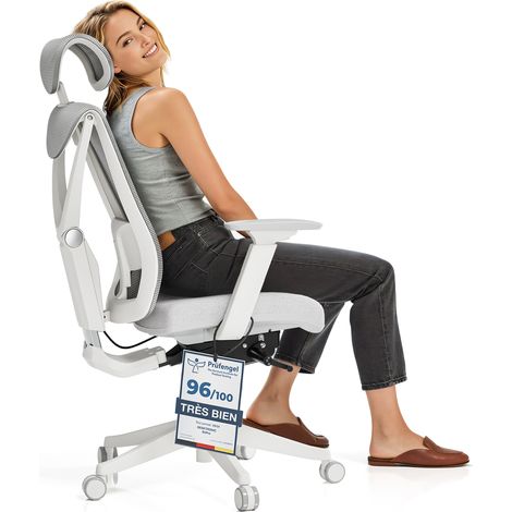 Chaise de Bureau Ergonomique réglable SitPro - Gris (1/5)