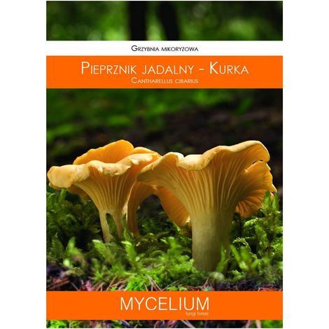 Myzel des Pfifferlings Myzel 60 ml (1/2)
