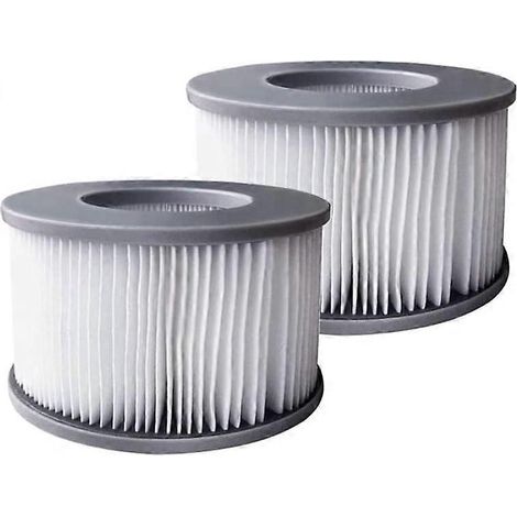 Lot de 2 cartouches filtrantes de rechange MS-PA, compatibles avec tous les spas, piscines gonflables et jacuzzis MS-PA, modèle FD2089 (1/5)