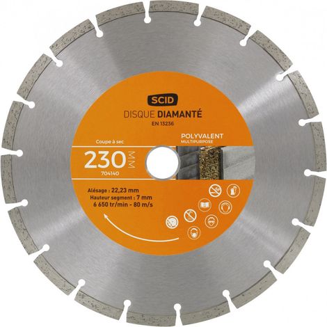 Vielseitiger Einstiegs-Disque 230 22,23