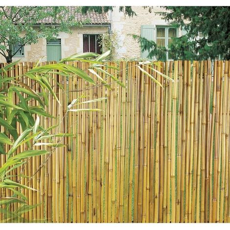 Cañizo entero barnizado bambooflex nortene
