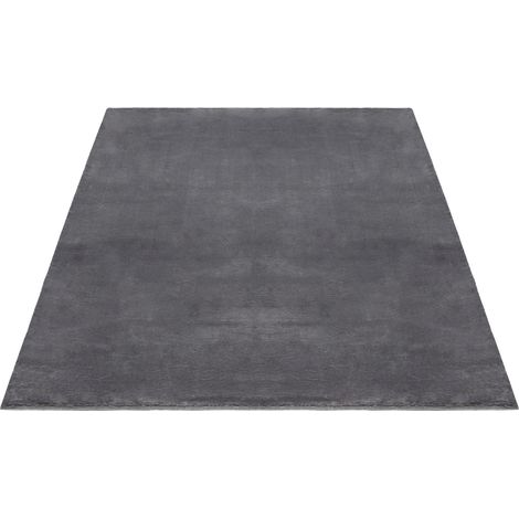 FLOORNOVO Hochflor Teppich Grau einfarbig - 290 x 200 cm - Besonders Weicher Teppich Wohnzimmer & Badezimmerteppich - Pflegeleicht - vielseitig einsetzbar im Innenbereich (1/2)
