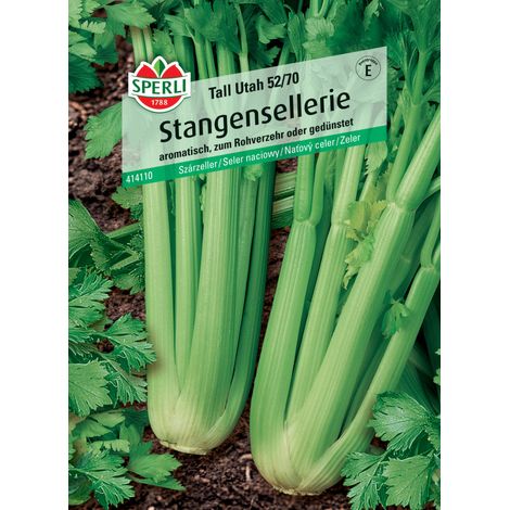 Sperli Stangensellerie Tall Utah 52/70