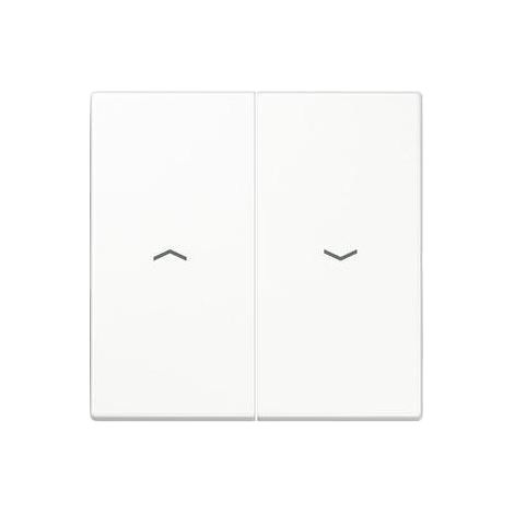 Jung Wippe Symbole aws für Taster LS 995 P WW