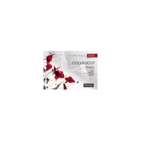 Daunendecke Biotex Coquelicot weiß 140 x 200 cm leicht