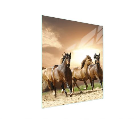 TABLA DE CORTAR DE VIDRIO 45x52 CABALLOS (1/5)