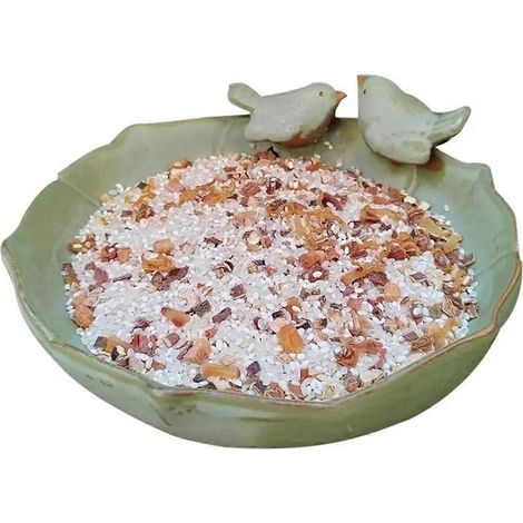 Bol de bain d'oiseaux en céramique, mangeoire multifonctionnelle pour perroquets, 25 cm